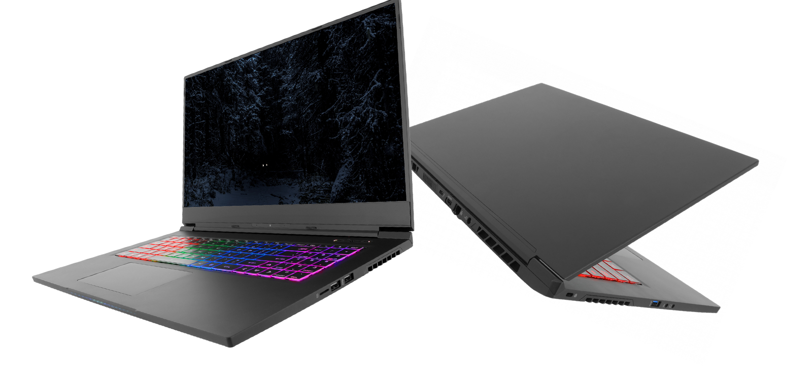 SKIKK LYNX 4 AMD - 17,3" Magnesium Gaming Laptop