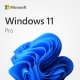 Windows 11 pro