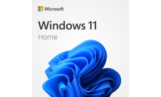 Microsoft Windows 11 home
