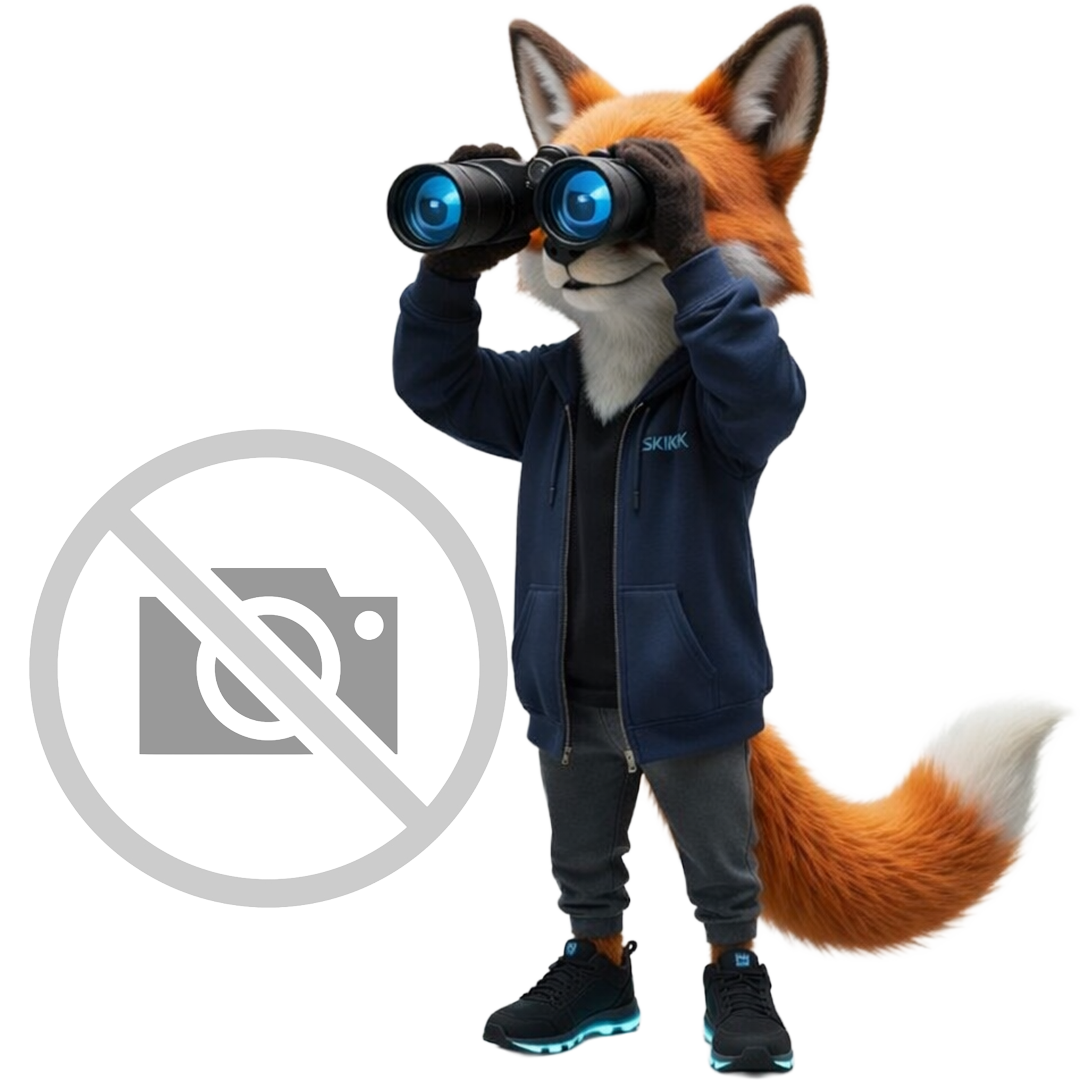 SKIKK Windows Recovery USB Stick