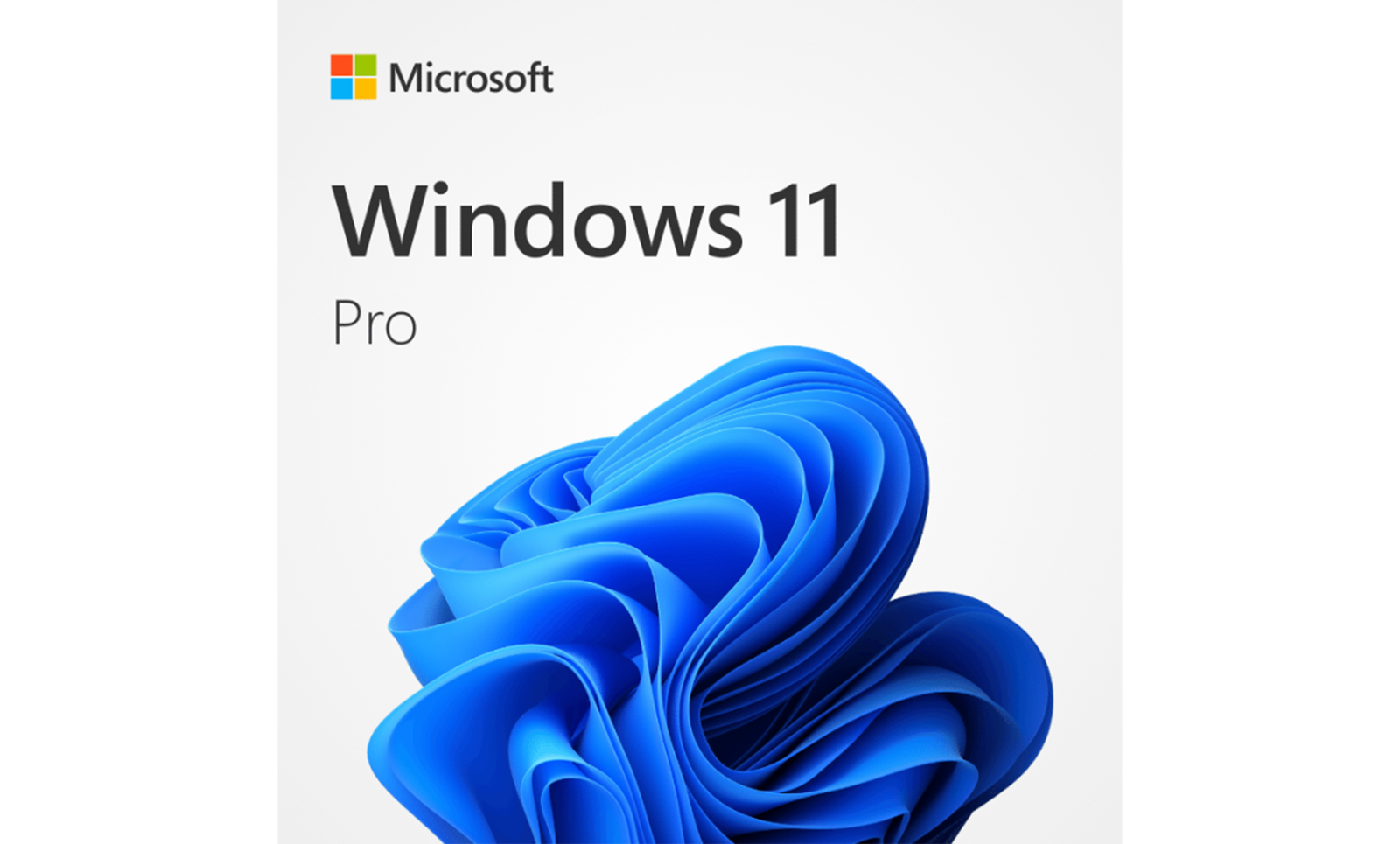 Microsoft Windows 11 pro
